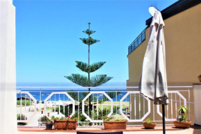 Una Araucaria sul mare